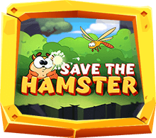 รีวิวเกม Save the Hamster
