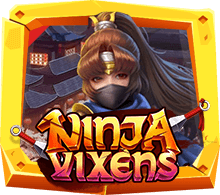 รีวิวเกม Ninja Vixens