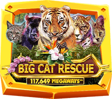 รีวิวเกม Big Cat Rescue