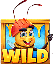 สัญลักษณ์ Wild Honey Honey Honey
