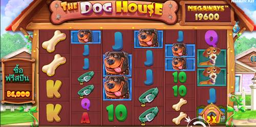 รูปแบบของเกมสล็อต The Dog House