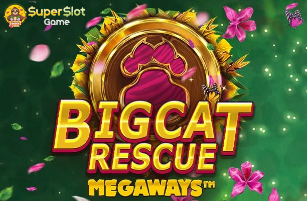 รีวิวเกม Big Cat Rescue