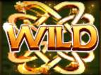 สัญลักษณ์ Wild เกม Wish Upon a Leprechaun
