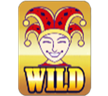Wild Symbol เกม Fortune Ace