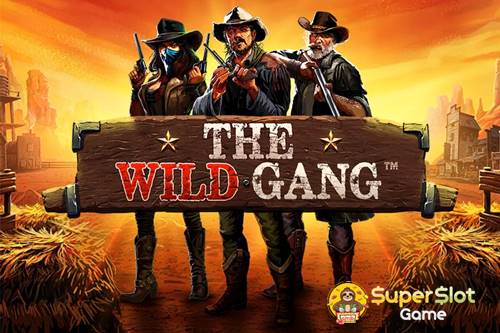 รีวิวเกม The Wild Gang
