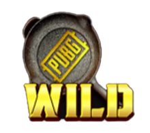 สัญลักษณ์ Wild เกม PUBG